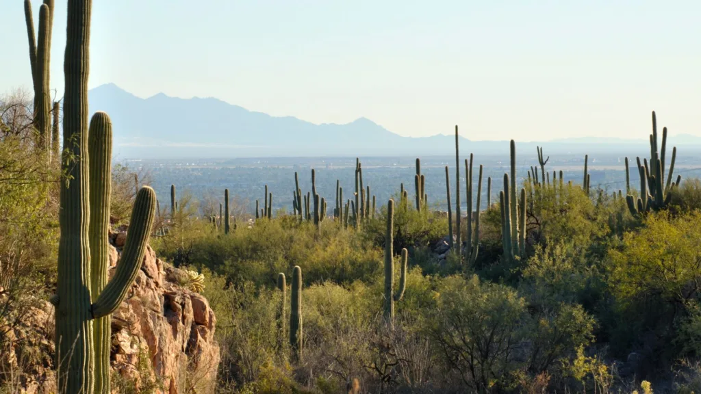 AZ Background image
